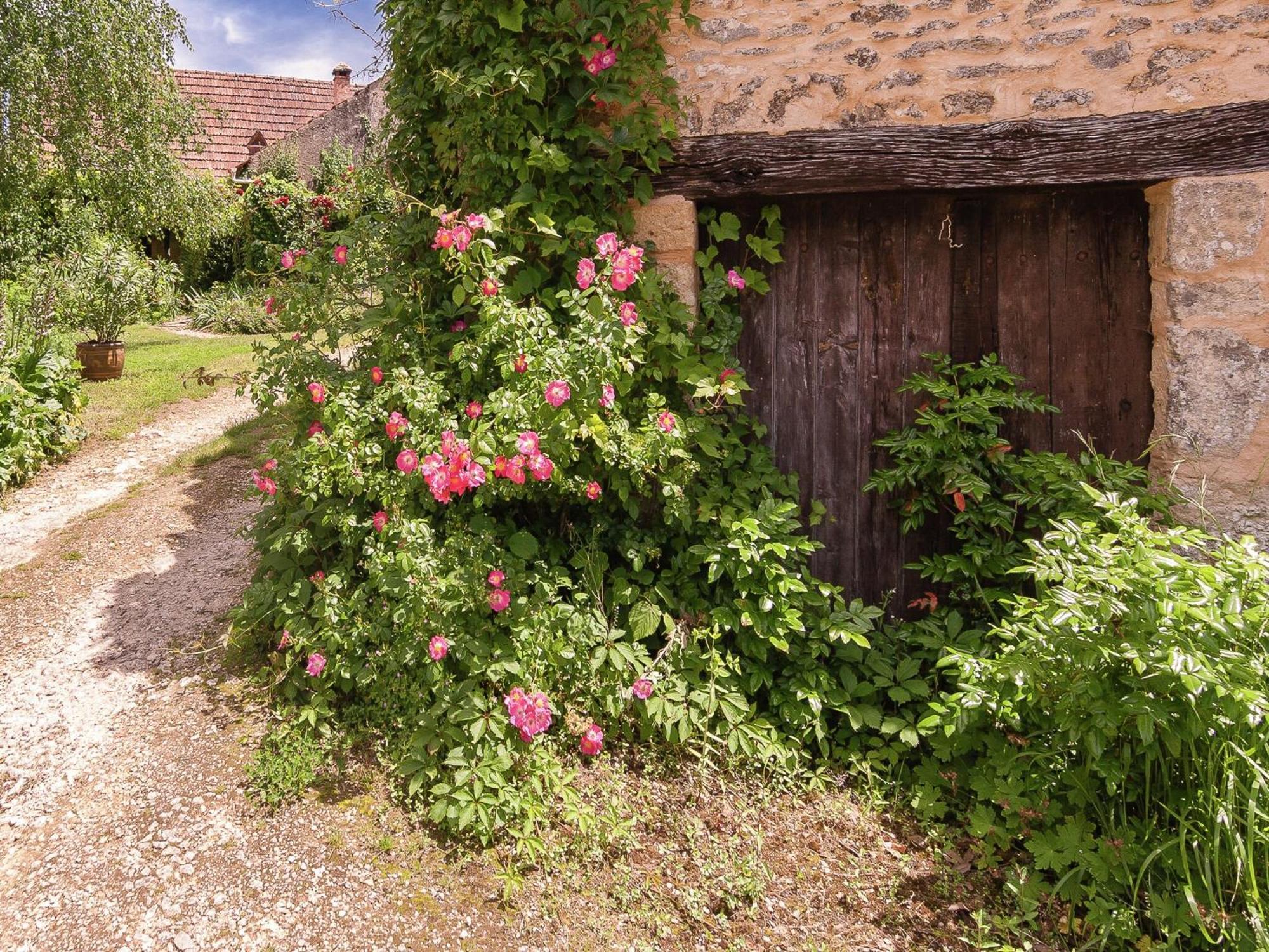 Meyrals Cottage In Les Eyzies De Tayac Sireuil With Pool מראה חיצוני תמונה